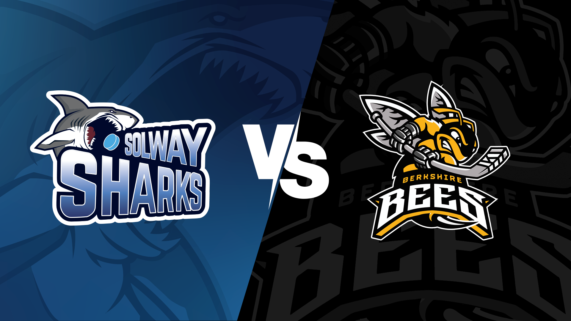 Solway Sharks vs. Berkshire Bees